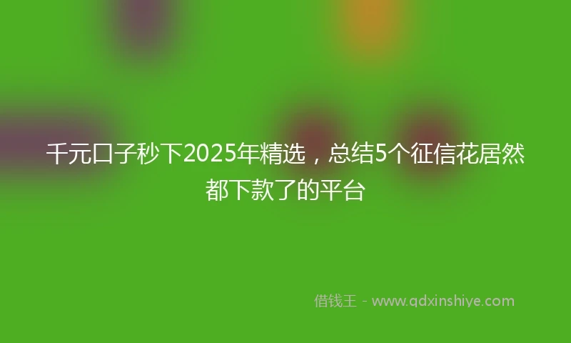千元口子秒下2025年精选，总结5个征信花居然都下款了的平台