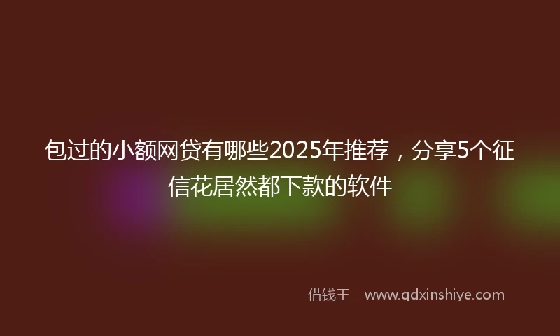 包过的小额网贷有哪些2025年推荐，分享5个征信花居然都下款的软件