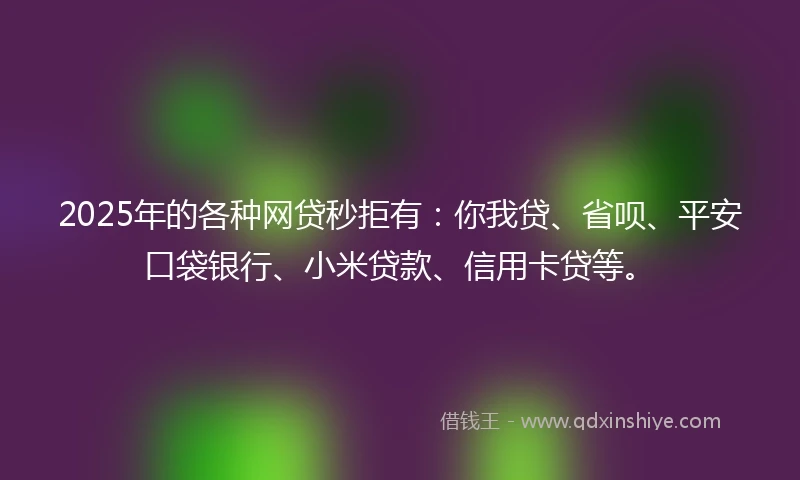 2025年的各种网贷秒拒有:你我贷、省呗、平安口袋银行、小米贷款、信用卡贷等。