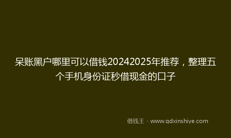 呆账黑户哪里可以借钱20242025年推荐，整理五个手机身份证秒借现金的口子