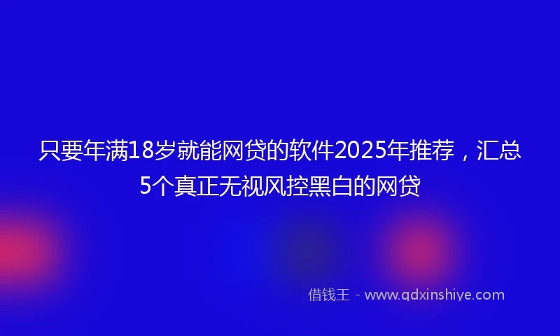 只要年满18岁就能网贷的软件2025年推荐，汇总5个真正无视风控黑白的网贷
