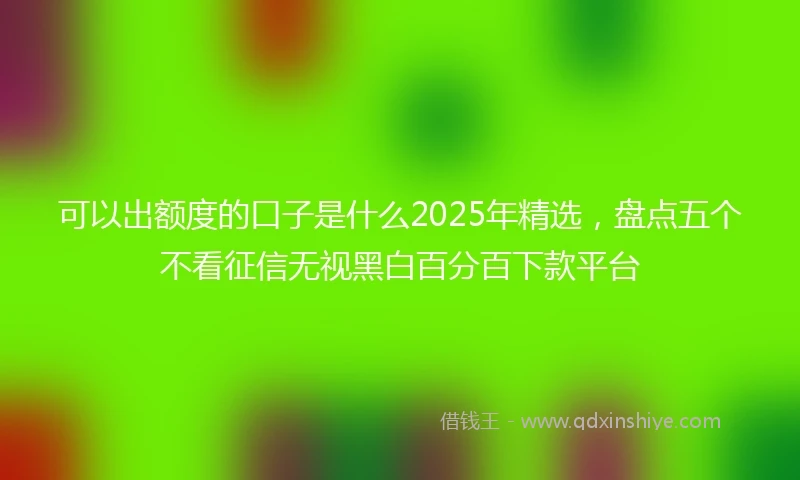可以出额度的口子是什么2025年精选，盘点五个不看征信无视黑白百分百下款平台
