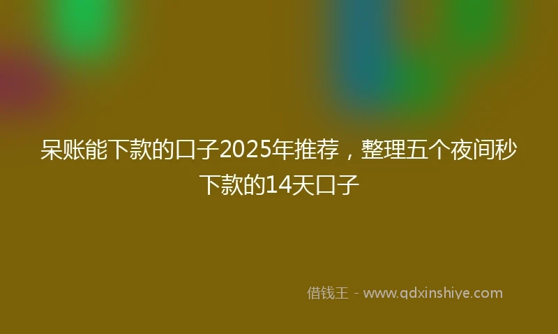 呆账能下款的口子2025年推荐，整理五个夜间秒下款的14天口子