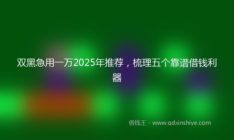 双黑急用一万2025年推荐，梳理五个靠谱借钱利器