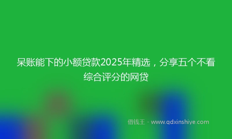 呆账能下的小额贷款2025年精选，分享五个不看综合评分的网贷