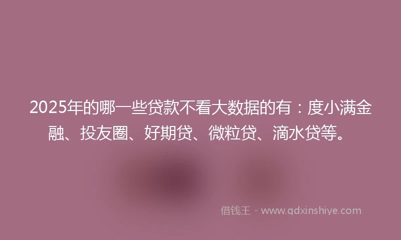 2025年的哪一些贷款不看大数据的有：度小满金融、投友圈、好期贷、微粒贷、滴水贷等。