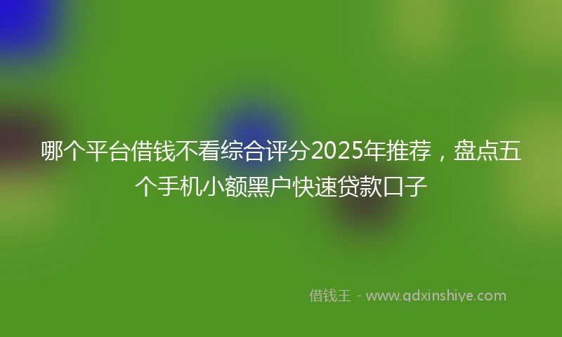 哪个平台借钱不看综合评分2025年推荐，盘点五个手机小额黑户快速贷款口子
