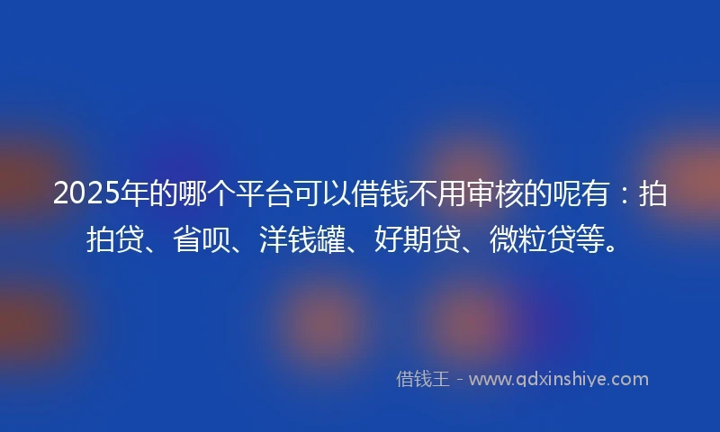 2025年的哪个平台可以借钱不用审核的呢有：拍拍贷、省呗、洋钱罐、好期贷、微粒贷等。