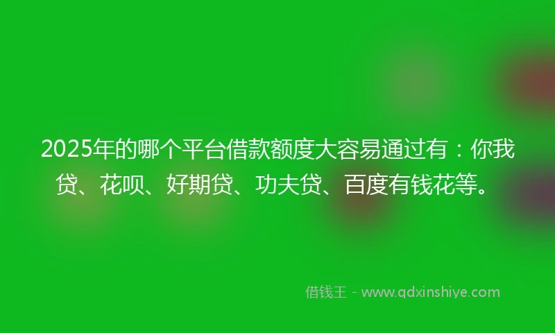 2025年的哪个平台借款额度大容易通过有：你我贷、花呗、好期贷、功夫贷、百度有钱花等。