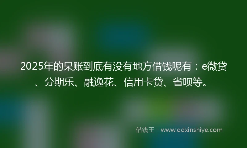 2025年的呆账到底有没有地方借钱呢有：e微贷、分期乐、融逸花、信用卡贷、省呗等。