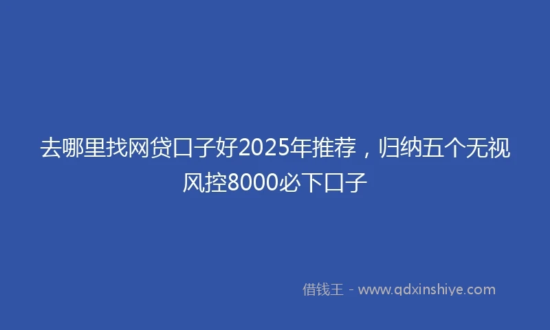 去哪里找网贷口子好2025年推荐，归纳五个无视风控8000必下口子
