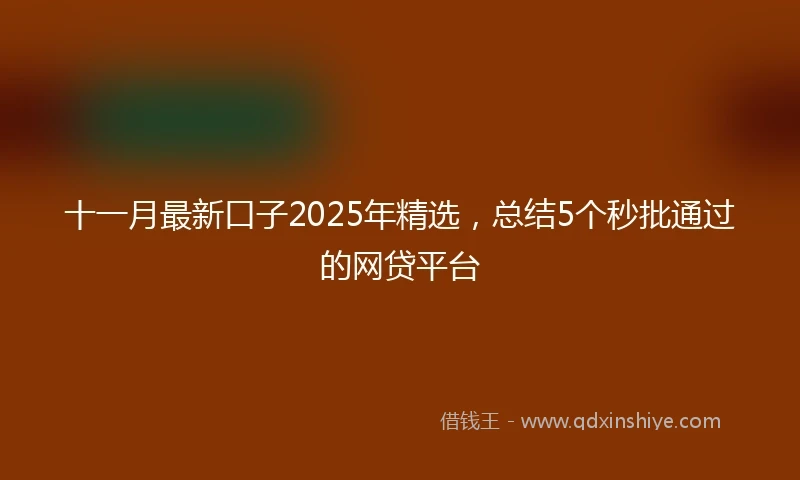 十一月最新口子2025年精选，总结5个秒批通过的网贷平台