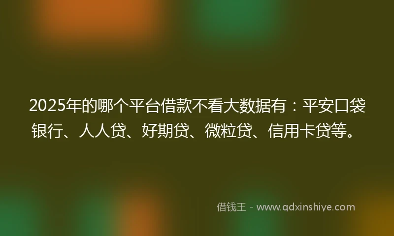 2025年的哪个平台借款不看大数据有：平安口袋银行、人人贷、好期贷、微粒贷、信用卡贷等。