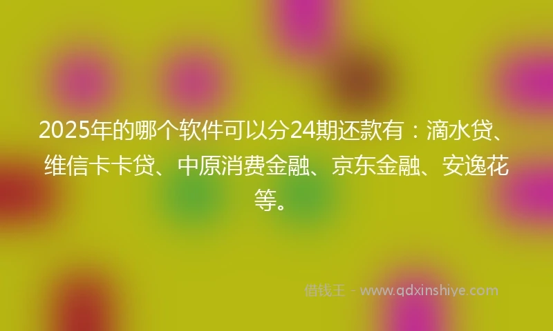 2025年的哪个软件可以分24期还款有：滴水贷、维信卡卡贷、中原消费金融、京东金融、安逸花等。