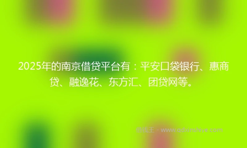 2025年的南京借贷平台有：平安口袋银行、惠商贷、融逸花、东方汇、团贷网等。