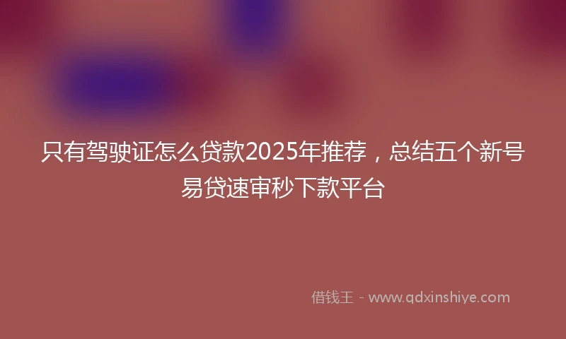 只有驾驶证怎么贷款2025年推荐，总结五个新号易贷速审秒下款平台