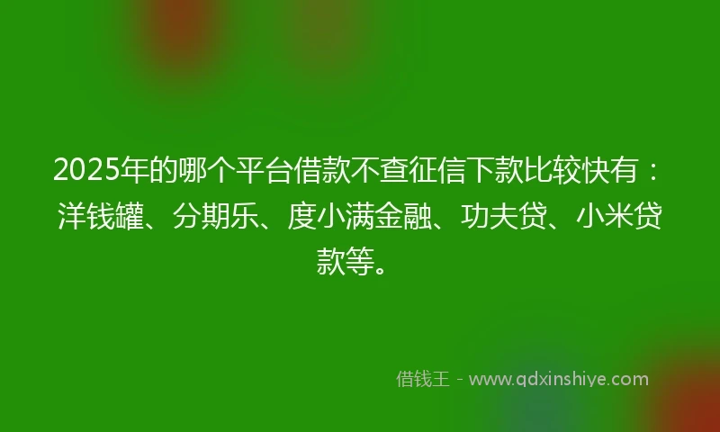 2025年的哪个平台借款不查征信下款比较快有：洋钱罐、分期乐、度小满金融、功夫贷、小米贷款等。