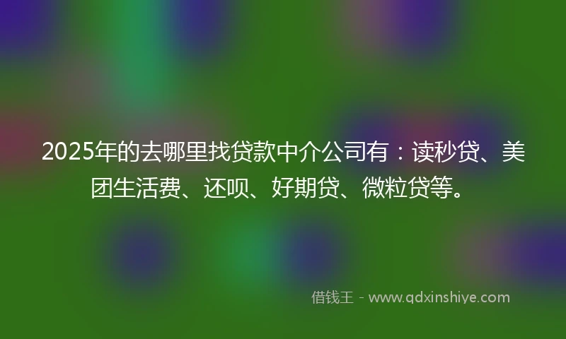 2025年的去哪里找贷款中介公司有：读秒贷、美团生活费、还呗、好期贷、微粒贷等。