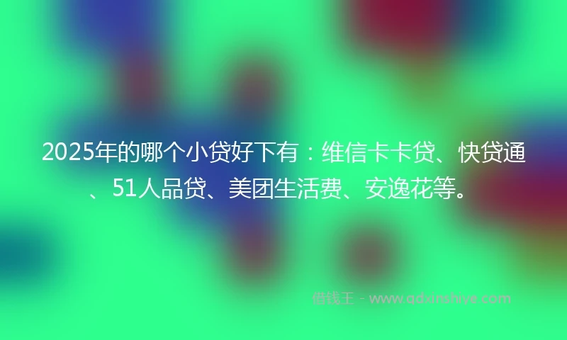 2025年的哪个小贷好下有：维信卡卡贷、快贷通、51人品贷、美团生活费、安逸花等。