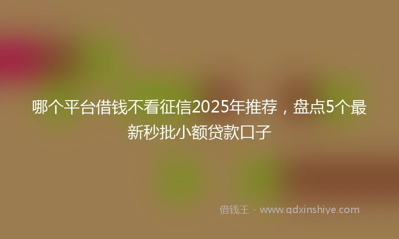 哪个平台借钱不看征信2025年推荐，盘点5个最新秒批小额贷款口子