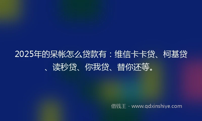 2025年的呆帐怎么贷款有：维信卡卡贷、柯基贷、读秒贷、你我贷、替你还等。