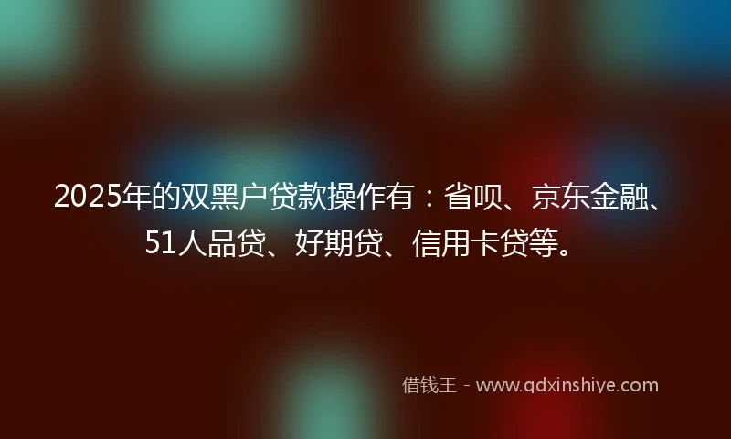 2025年的双黑户贷款操作有：省呗、京东金融、51人品贷、好期贷、信用卡贷等。
