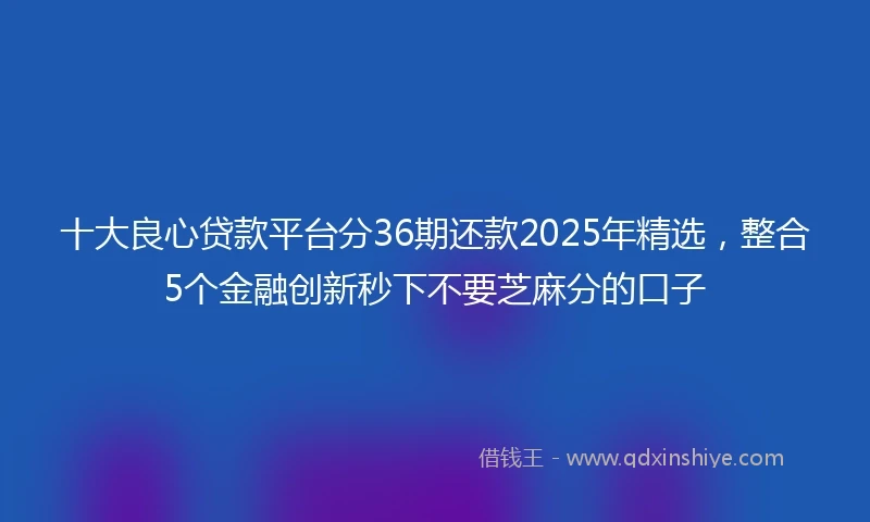 十大良心贷款平台分36期还款2025年精选，整合5个金融创新秒下不要芝麻分的口子