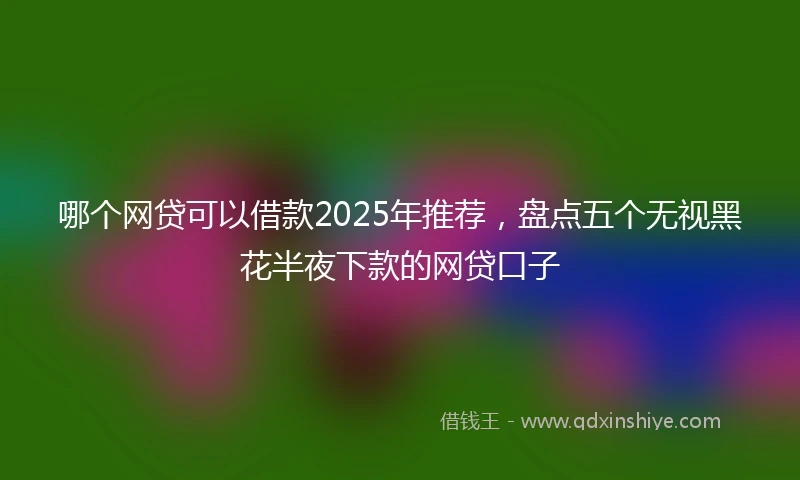 哪个网贷可以借款2025年推荐，盘点五个无视黑花半夜下款的网贷口子