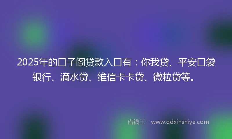 2025年的口子阁贷款入口有：你我贷、平安口袋银行、滴水贷、维信卡卡贷、微粒贷等。