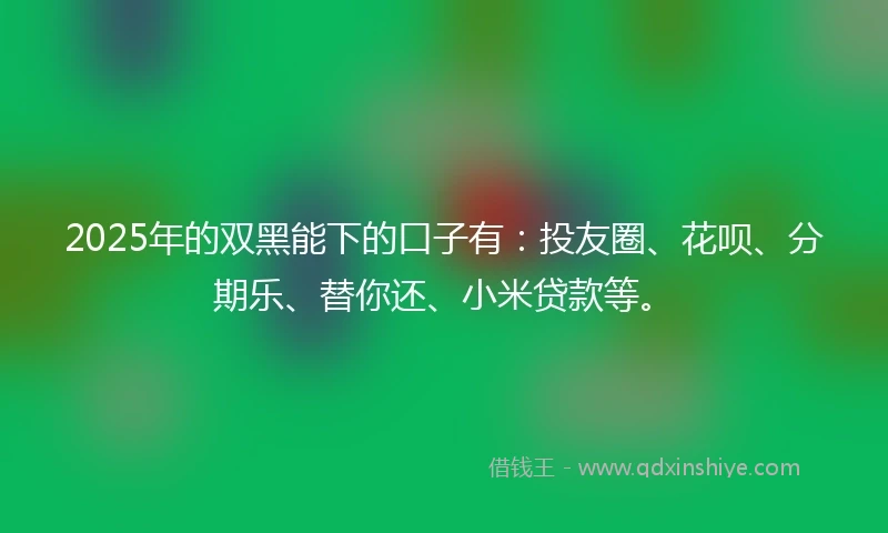 2025年的双黑能下的口子有:投友圈、花呗、分期乐、替你还、小米贷款等。