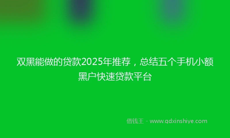 双黑能做的贷款2025年推荐，总结五个手机小额黑户快速贷款平台
