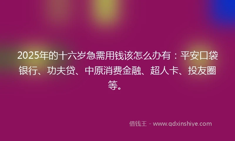 2025年的十六岁急需用钱该怎么办有：平安口袋银行、功夫贷、中原消费金融、超人卡、投友圈等。