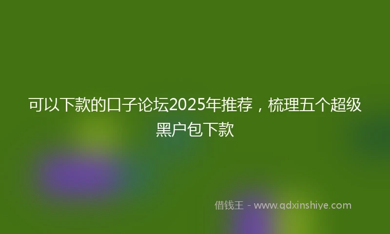 可以下款的口子论坛2025年推荐，梳理五个超级黑户包下款