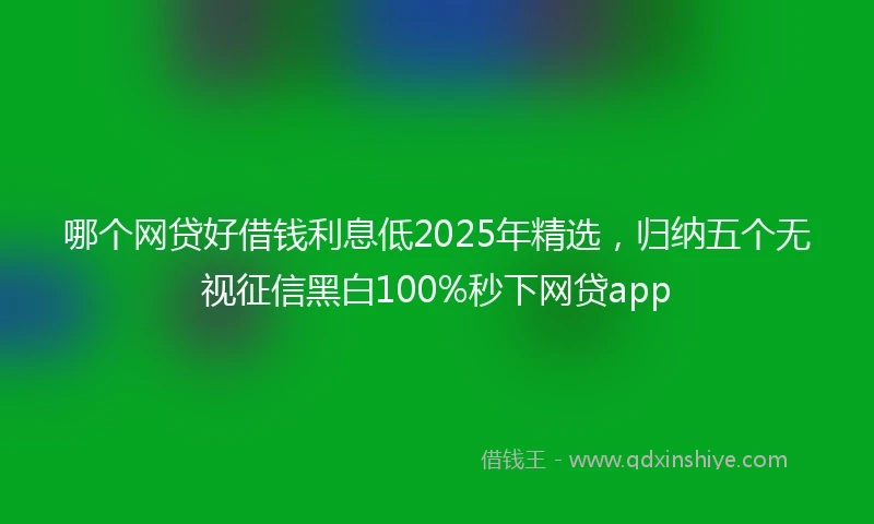 哪个网贷好借钱利息低2025年精选，归纳五个无视征信黑白100%秒下网贷app
