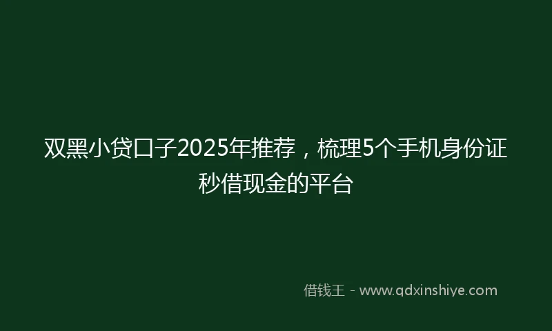 双黑小贷口子2025年推荐，梳理5个手机身份证秒借现金的平台