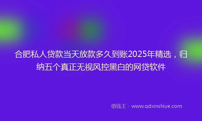 合肥私人贷款当天放款多久到账2025年精选，归纳五个真正无视风控黑白的网贷软件