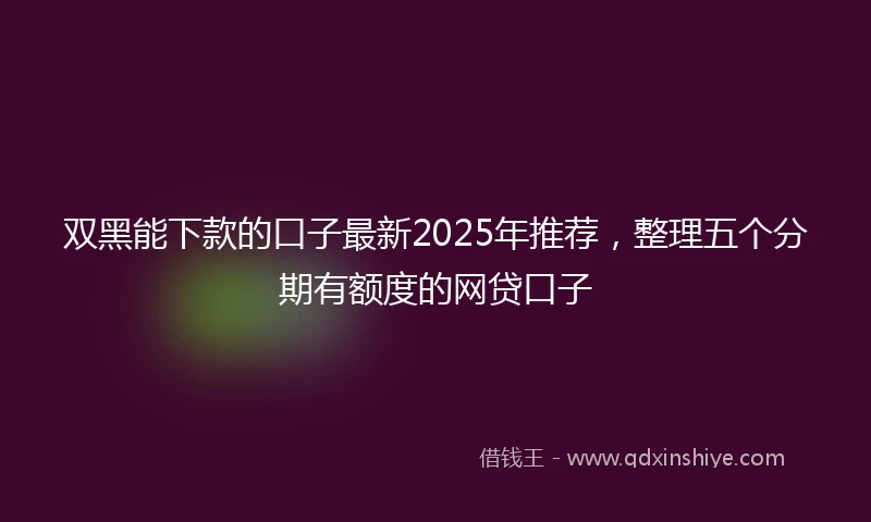 双黑能下款的口子最新2025年推荐，整理五个分期有额度的网贷口子
