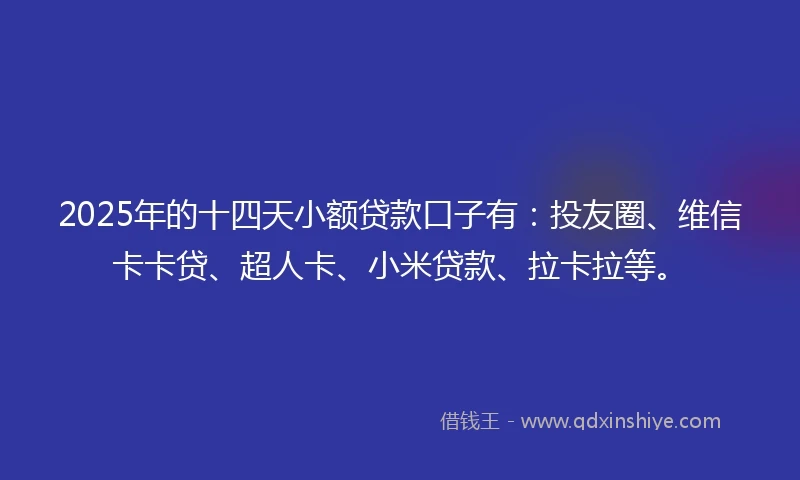 2025年的十四天小额贷款口子有：投友圈、维信卡卡贷、超人卡、小米贷款、拉卡拉等。