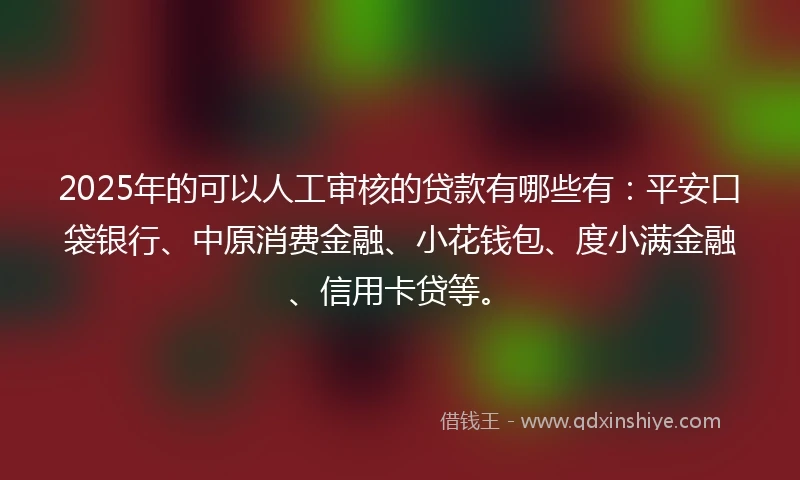 2025年的可以人工审核的贷款有哪些有：平安口袋银行、中原消费金融、小花钱包、度小满金融、信用卡贷等。