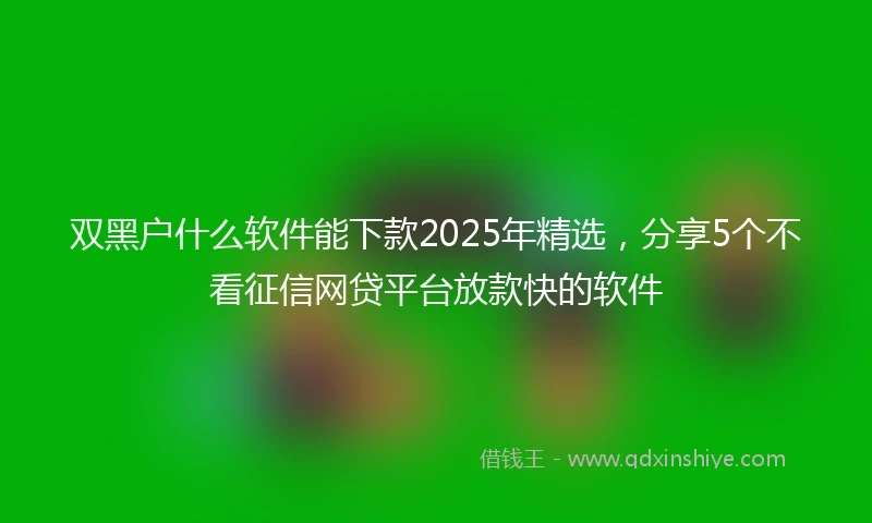 双黑户什么软件能下款2025年精选，分享5个不看征信网贷平台放款快的软件