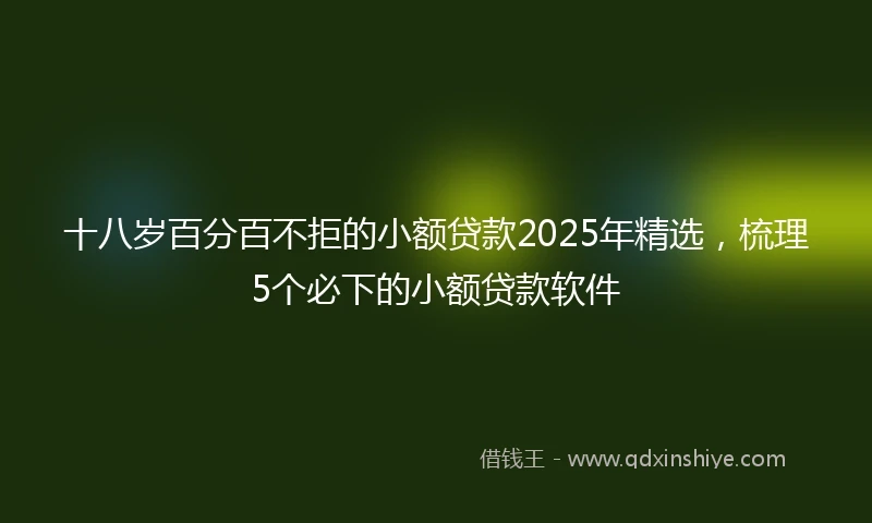 十八岁百分百不拒的小额贷款2025年精选，梳理5个必下的小额贷款软件