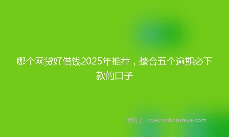 哪个网贷好借钱2025年推荐，整合五个逾期必下款的口子