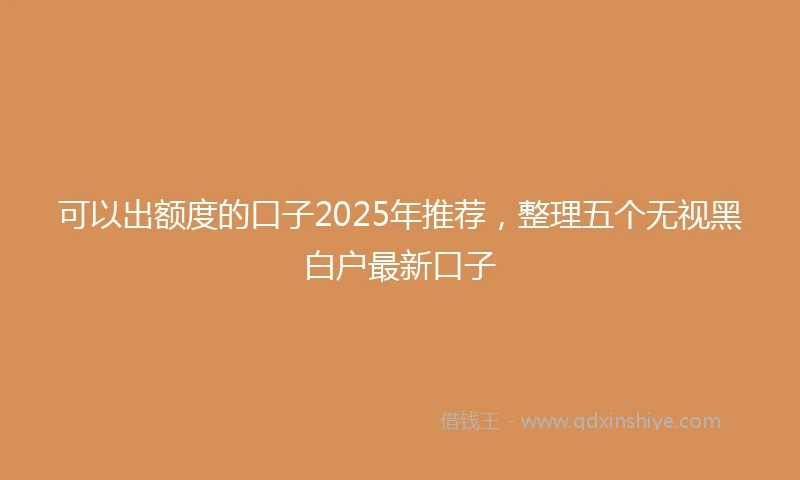 可以出额度的口子2025年推荐，整理五个无视黑白户最新口子
