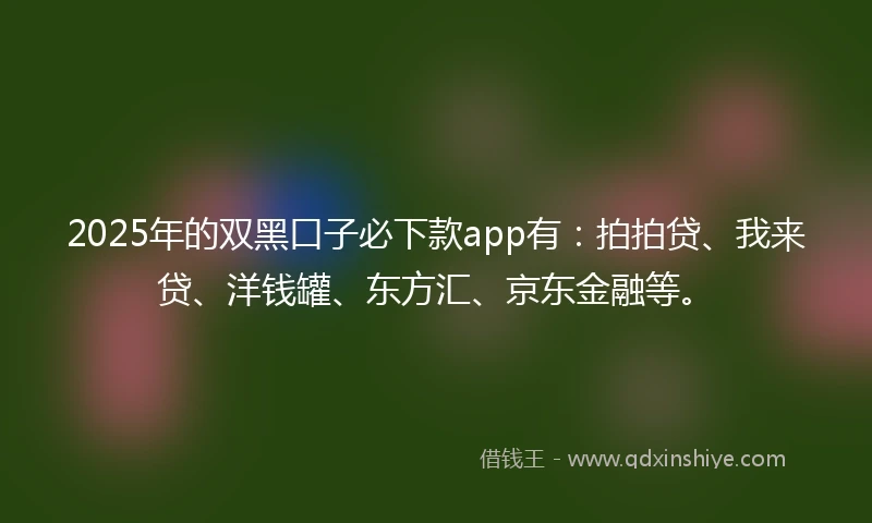 2025年的双黑口子必下款app有：拍拍贷、我来贷、洋钱罐、东方汇、京东金融等。