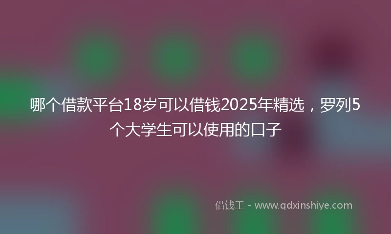 哪个借款平台18岁可以借钱2025年精选，罗列5个大学生可以使用的口子