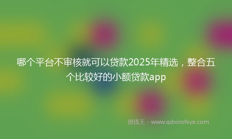 哪个平台不审核就可以贷款2025年精选，整合五个比较好的小额贷款app