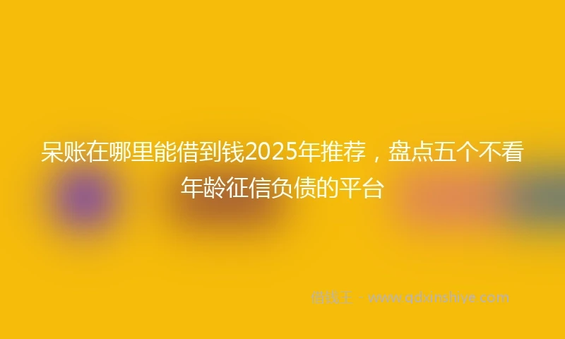 呆账在哪里能借到钱2025年推荐，盘点五个不看年龄征信负债的平台
