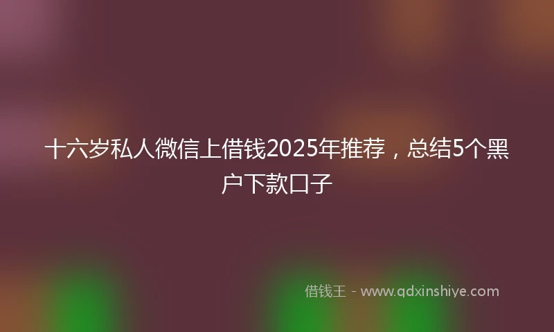 十六岁私人微信上借钱2025年推荐，总结5个黑户下款口子