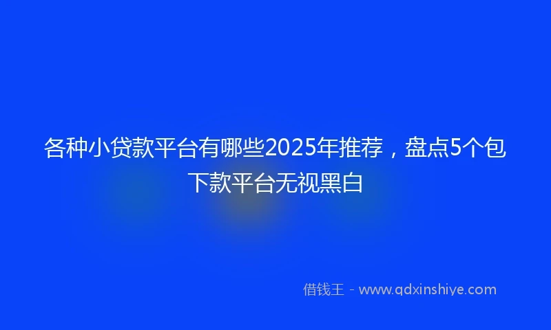 各种小贷款平台有哪些2025年推荐，盘点5个包下款平台无视黑白