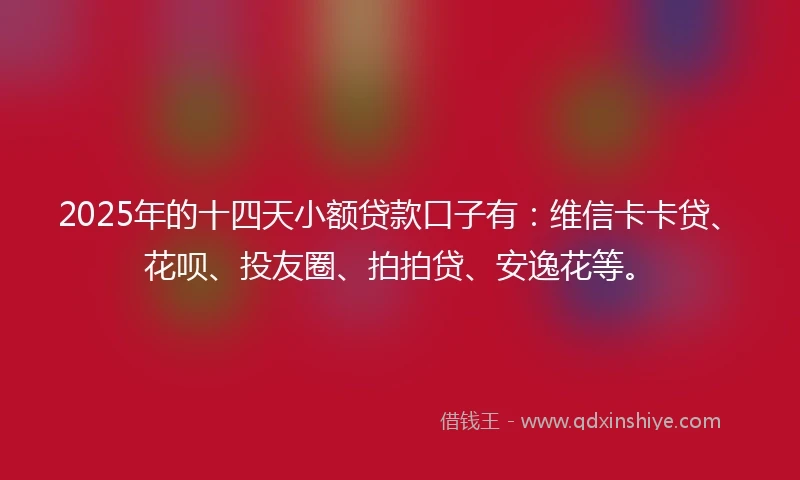 2025年的十四天小额贷款口子有：维信卡卡贷、花呗、投友圈、拍拍贷、安逸花等。